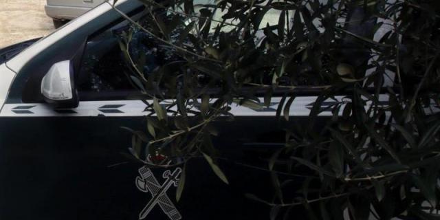 Esclarecen el homicidio de joven al que incineraron tras una discusión por droga