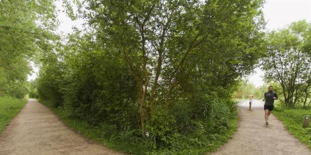 Nueve de cada diez españoles no se prepara correctamente para correr