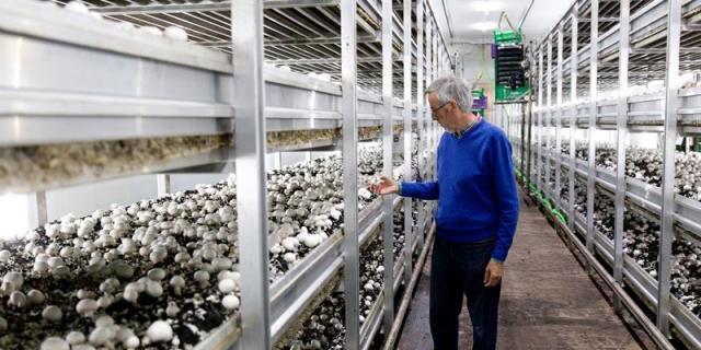 San Isidro Labrador: 100.000 puestos de trabajo en Madrid relacionados con la agricultura