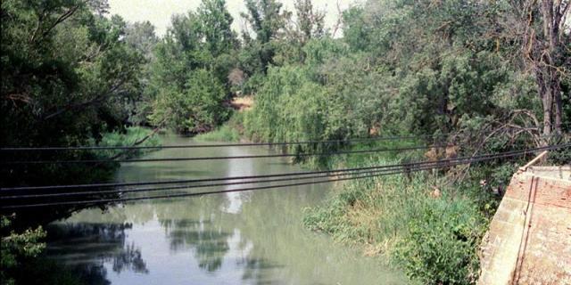 Aranjuez eleva a la Fiscalía la situación del Tajo y pide el cese de Antolín
