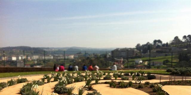 Terapia hortícola: los beneficios de la jardinería y los paisajes naturales para la salud física y mental