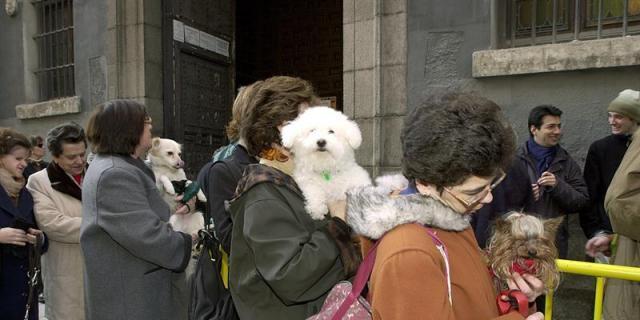 Los comerciantes de Chueca promueven los locales donde pueden entrar animales
