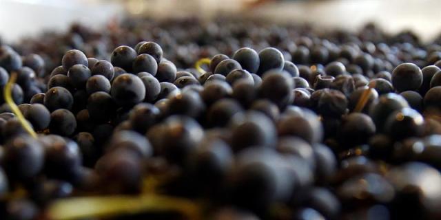 La DO Vinos de Madrid es un negocio que 'funciona' en la Comunidad