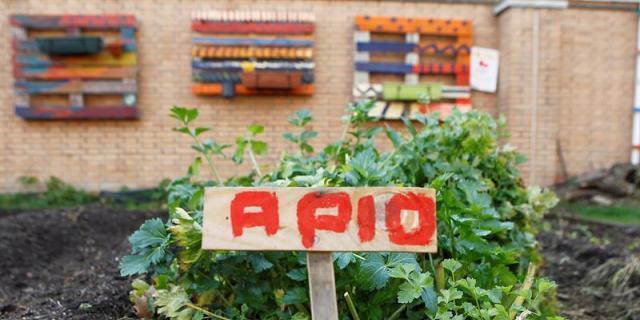 Alcobendas entrega 44 huertos urbanos para promover la sostenibilidad