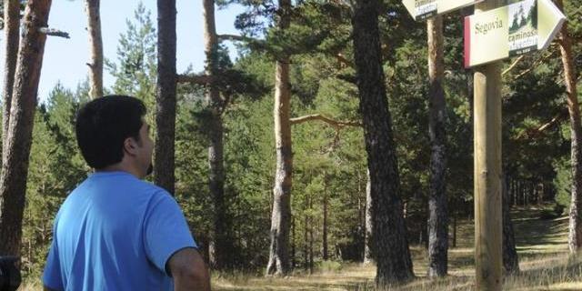 Guadarrama nos ofrece paz interior a través de su red de senderos mundial