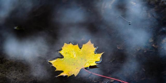 IU denuncia que el servicio de limpieza de Majadahonda es "caro y deficiente"