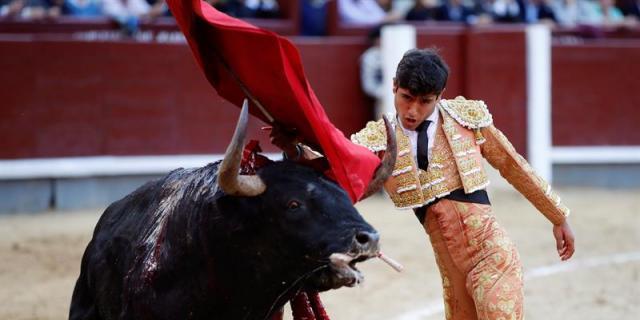 La casta de los de El Pilar destaca sobre los toreros del "Seis Naciones"