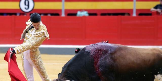 Periodistas y empresa designan a Alejandro Talavante triunfador de la Feria de San Isidro