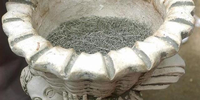 Moncloa - Aravaca celebra esta semana las fiestas de San Antonio de la Florida