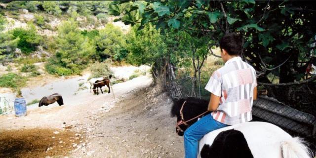 Los caballos mejoran la calidad de vida de personas con esclerosis múltiple