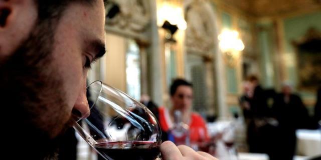 La DO de vinos de Madrid comienza una vendimia "prometedora"