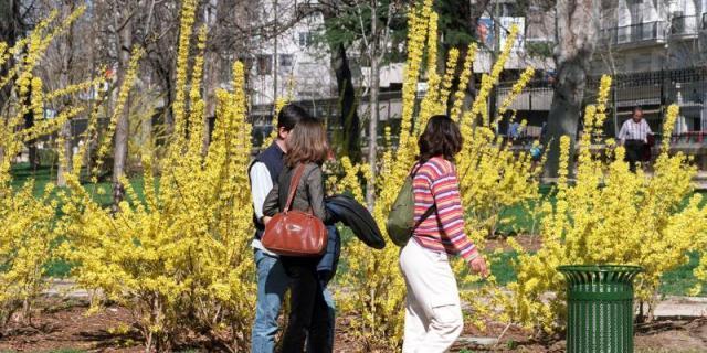 Visitas guiadas para conocer en profundidad el paseo del Prado y El Retiro