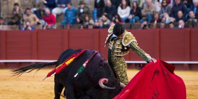 Pablo Aguado sustituye a Paco Ureña en el primer festejo de la Feria de Otoño