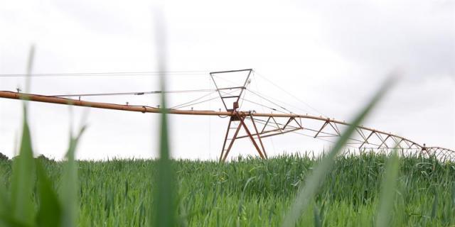 Dedicarán 165.000 euros al desarrollo agrícola de Aranjuez