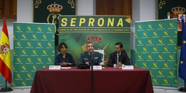 Golpe a un grupo que ganó 25 millones en un año con el comercio ilegal de atún rojo