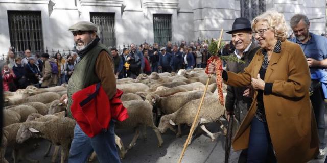 Carmena renueva la concordia de la trashumancia y pondrá un rebaño en la Casa de Campo