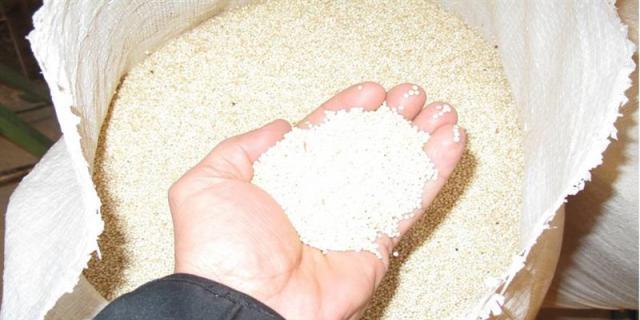 Los extractos de quinoa y alholva, posibles aliados frente al exceso de peso