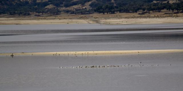 El nuevo contrato de conservación del río Manzanares asciende a 4,7 millones