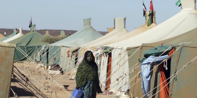Cinco ayuntamientos del Sur de Madrid llevarán ayuda sanitaria a los campamentos saharauis