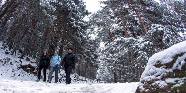 Se debe extremar la precaución en las salidas a la montaña