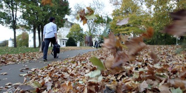 El PSOE critica que la limpieza de Torrelodones "brilla por su ausencia"