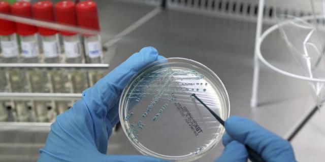 La primera inmunoterapia española muestra eficacia en pacientes con cáncer