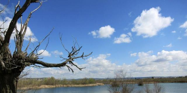 Ecologistas piden poner coto a las 132 fincas que celebran bodas en Madrid