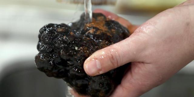 La subasta de la trufa recauda 9.100 euros para una doble causa solidaria