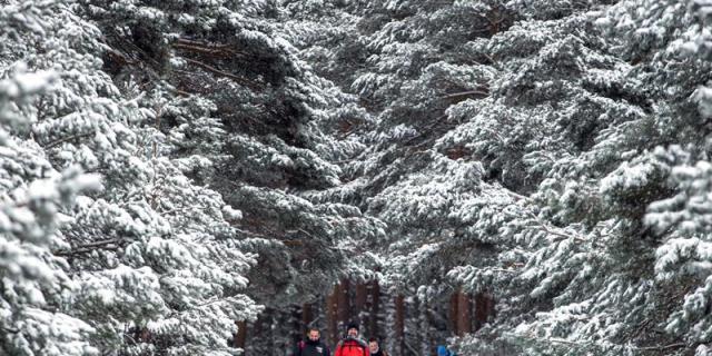 La Sierra de Guadarrama reconocida por tener la mejor gestión de calidad turística de España