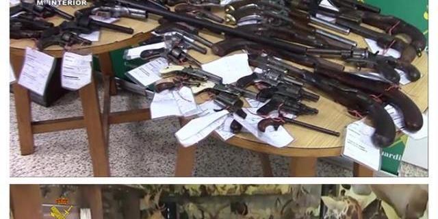 La Guardia Civil desarticula una red de comercio ilegal de animales disecados