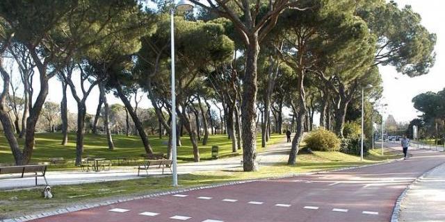 El nuevo plan de Carmena para la Dehesa de la Villa contempla invertir 8,6 millones