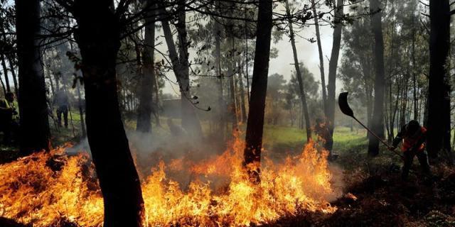 El primer trimestre de 2019 es el segundo periodo con más arbolado quemado de la última década