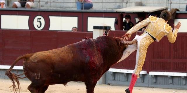 Los heridos de San Isidro evolucionan "bien aunque lentamente"