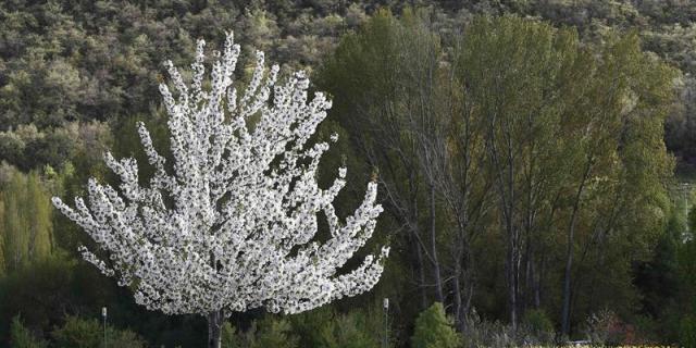 Sube un 5,4% hasta los 1.165 euros la pensión media en la región de Madrid