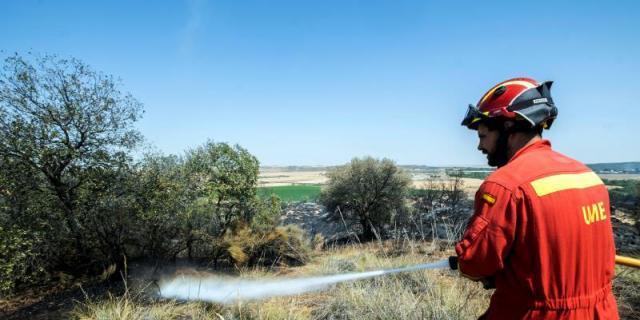 1.300 hectáreas calcinadas en Cadalso de los Vidrios y Cenicientos por el incendio generado en Toledo