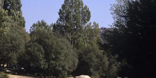 La Comunidad de Madrid avisa de un aumento de bacterias tóxicas en La Pedriza
