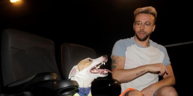 Los perros van al cine para "normalizar su acceso"