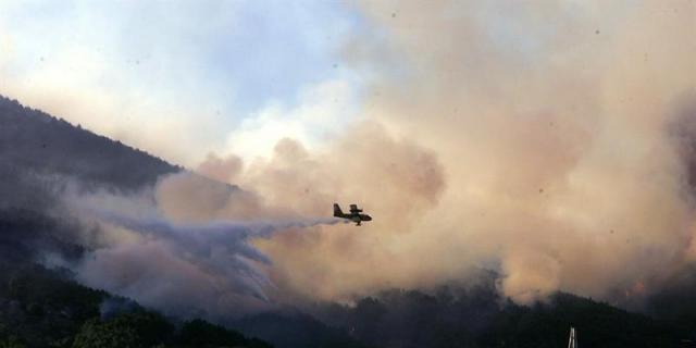 Dos décadas después el Monte Abantos sigue recuperándose del fuego