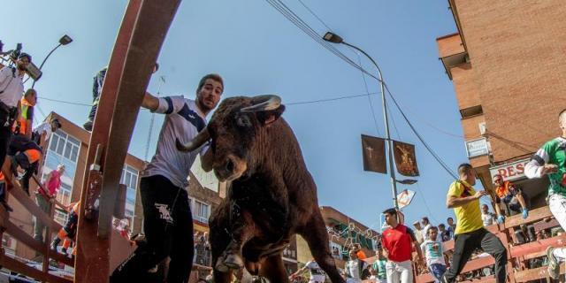 Una manada disgregada deja seis heridos leves en el encierro de 'Sanse'