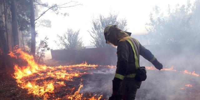 Más de 9.100 incendios han destruido casi 73.000 hectáreas hasta septiembre en España