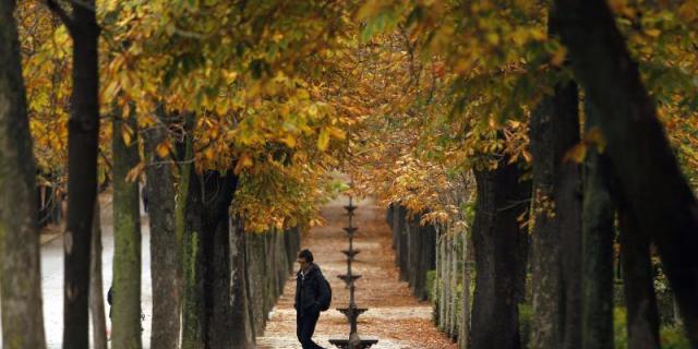 La Unesco examina en Madrid la candidatura Prado-Retiro a Patrimonio Mundial
