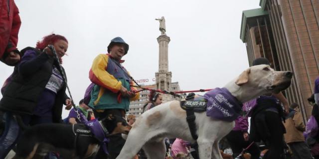 Perrotón 2019: miles de perros y sus dueños corrieron por la adopción