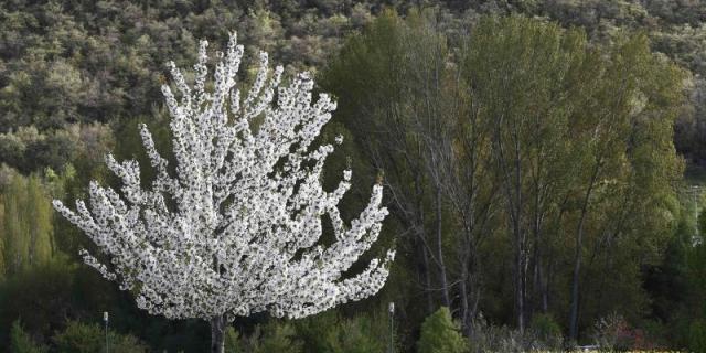 Centenares de mayores comienzan sus talleres en Galapagar