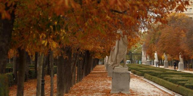 Las obras en El Retiro dejan al descubierto unos hallazgos arqueológicos de los siglos XVI y XVII