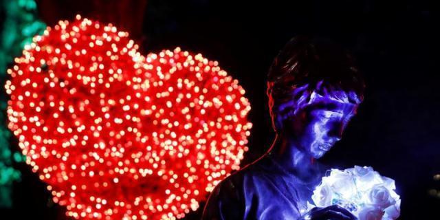 Las luces de Navidad de Jardín Botánico crean expectación en su primer día