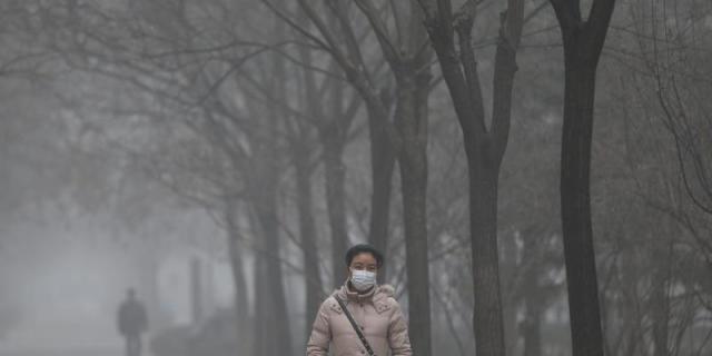 La contaminación causa 10.000 muertes al año en España según la OMS