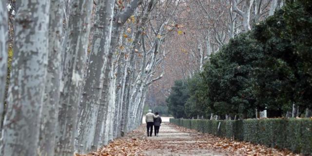 Reabren el Parque del Retiro tras las rachas de viento