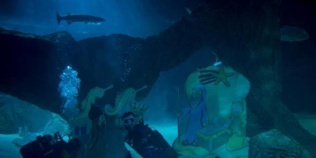 El tradicional Belén navideño de los tiburones vuelve al Zoo Aquarium