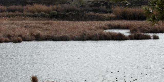 Nadie quiere hacerse cargo del Mar de Ontígola de Aranjuez