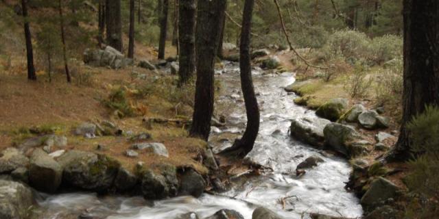 Veinticinco entidades se unen para salvar el río Manzanares en Getafe